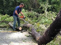 Best Lawn Maintenance Plans  in Woodville, MS